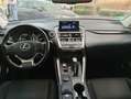 Lexus NX 300 300h Corporate 2WD + Navibox Gris - thumbnail 8