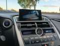 Lexus NX 300 300h Corporate 2WD + Navibox Gris - thumbnail 21
