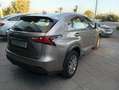 Lexus NX 300 300h Corporate 2WD + Navibox Gris - thumbnail 6