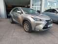 Lexus NX 300 300h Corporate 2WD + Navibox Gris - thumbnail 1