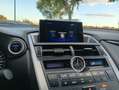 Lexus NX 300 300h Corporate 2WD + Navibox Gris - thumbnail 26