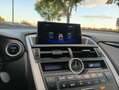 Lexus NX 300 300h Corporate 2WD + Navibox Gris - thumbnail 24