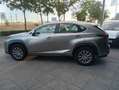 Lexus NX 300 300h Corporate 2WD + Navibox Gris - thumbnail 3