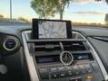 Lexus NX 300 300h Corporate 2WD + Navibox Gris - thumbnail 20