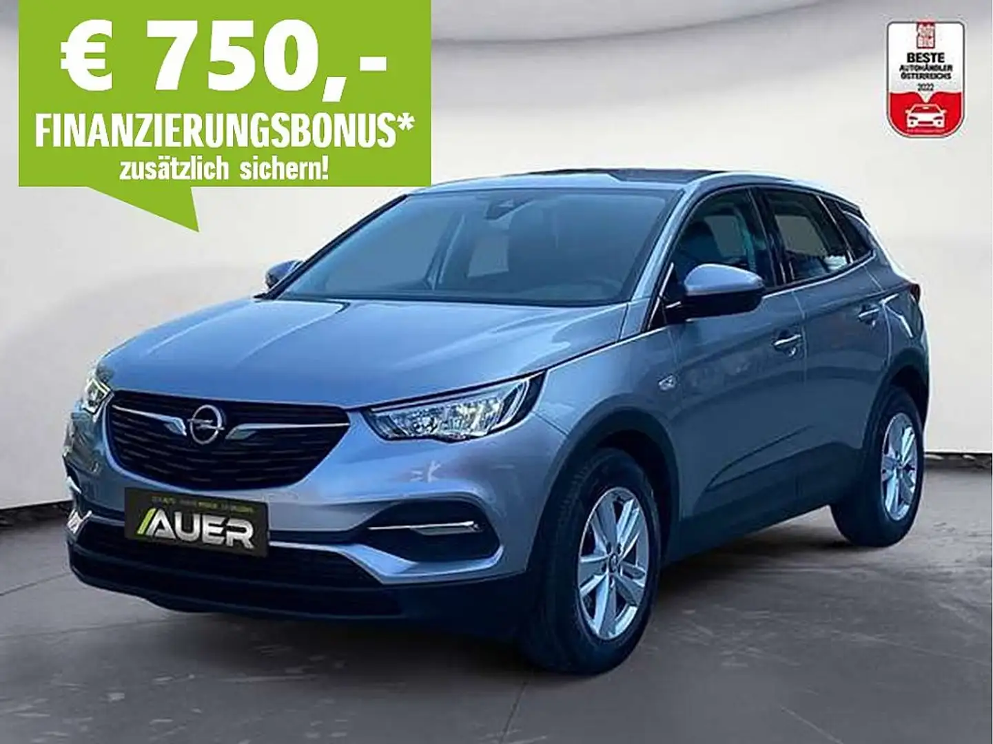 Opel Grandland X 1,2 Turbo Edition Aut. | Navi | Winterpaket Grau - 1