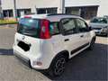 Fiat New Panda Panda 1.2 gpl casa madre city life c Bianco - thumbnail 7