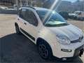 Fiat New Panda Panda 1.2 gpl casa madre city life c Bianco - thumbnail 5