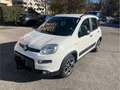 Fiat New Panda Panda 1.2 gpl casa madre city life c Bianco - thumbnail 4
