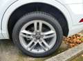 Audi Q3 2.0L TDI 150 Quattro S Line Weiß - thumbnail 24