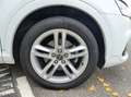 Audi Q3 2.0L TDI 150 Quattro S Line Blanc - thumbnail 25
