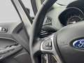 Ford EcoSport 1.0i EcoBoost 92kW Trend Zilver - thumbnail 16