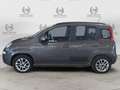 Fiat Panda Panda 1.2 Lounge Grigio - thumbnail 10
