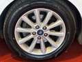 Ford Focus Focus 1.0 SW Bianco - thumbnail 3