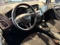 Ford Focus Focus 1.0 SW Bianco - thumbnail 4
