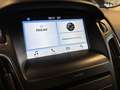 Ford Focus Focus 1.0 SW Bianco - thumbnail 9