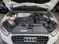Audi Q3 2.0 tdi Advanced 140cv-rate-garanzia- - thumbnail 20
