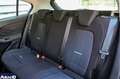 Ford Focus Focus Active 1.0 ecoboost h Design 125cv Grigio - thumbnail 7