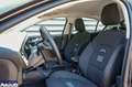 Ford Focus Focus Active 1.0 ecoboost h Design 125cv Grigio - thumbnail 6