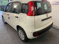 Fiat Panda Pandina 1.0 firefly hybrid Pop s - thumbnail 6
