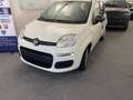Fiat Panda Pandina 1.0 firefly hybrid Pop s - thumbnail 1