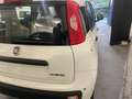 Fiat Panda Pandina 1.0 firefly hybrid Pop s - thumbnail 7