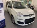 Fiat Panda Pandina 1.0 firefly hybrid Pop s - thumbnail 2