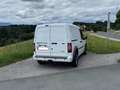 Ford Transit Connect Transit Connect Basis 200K 1,8 TDCi Basis Weiß - thumbnail 4