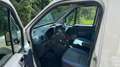 Ford Transit Connect Transit Connect Basis 200K 1,8 TDCi Basis Weiß - thumbnail 10