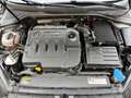 Volkswagen Golf 1.6TDI CR BMT Advance 110 Gris - thumbnail 14