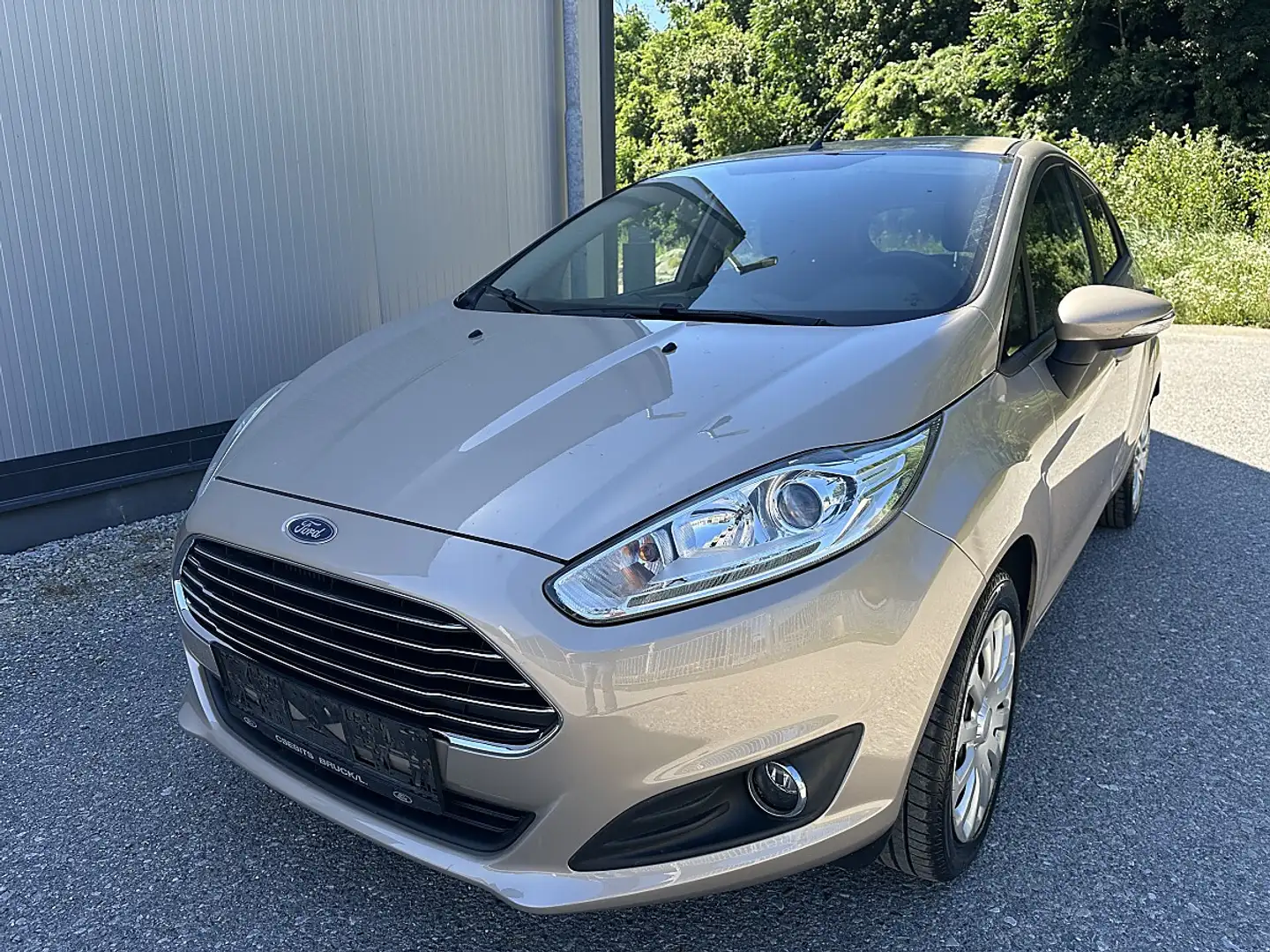 Ford Fiesta Trend 1,5 TDCi Braun - 1