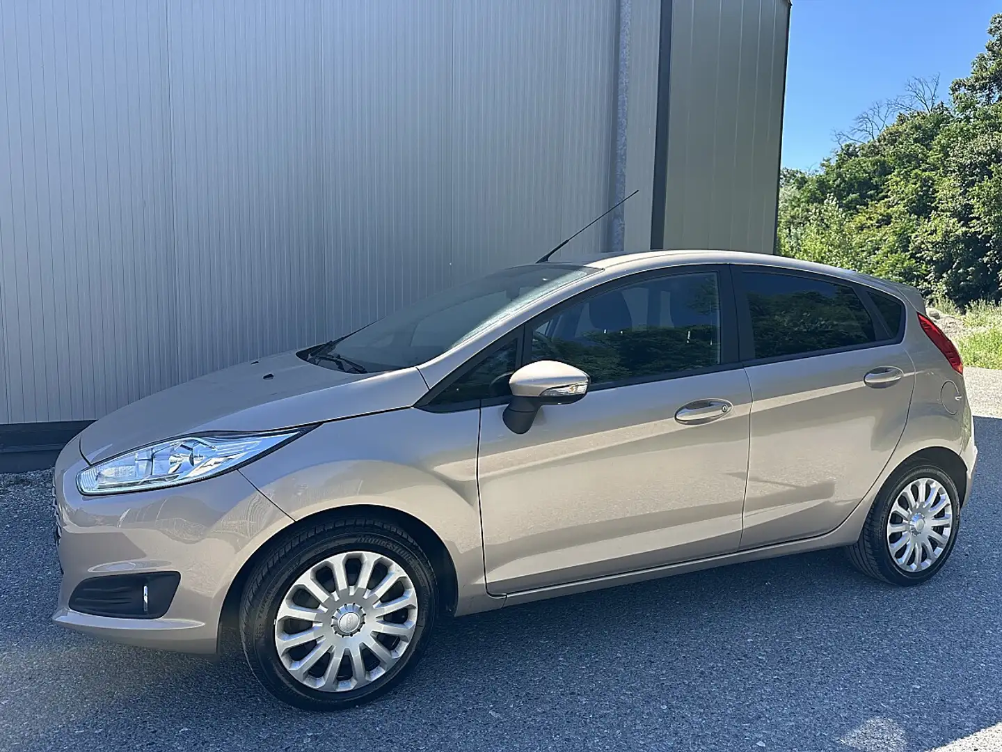 Ford Fiesta Trend 1,5 TDCi Braun - 2