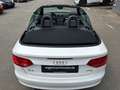 Audi A3 Cabriolet  CABRIO S-Line +NAVI+PDC+ Weiß - thumbnail 18