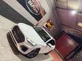Audi Q5 Sportback 35 TDI S line S tronic Weiß - thumbnail 10