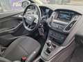 Ford Focus Focus Turnier Business/PDC/SHZ/Eu6/2.Ha/ZV Argento - thumbnail 14