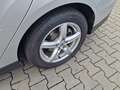 Ford Focus Focus Turnier Business/PDC/SHZ/Eu6/2.Ha/ZV Argento - thumbnail 8