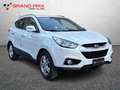 Hyundai iX35 1.7 CRDi 2WD Comfort Bianco - thumbnail 5