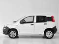 Fiat Panda Panda Van 0.9 t.air t. natural power Easy 80cv Bianco - thumbnail 3