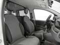 Fiat Panda Panda Van 0.9 t.air t. natural power Easy 80cv Bianco - thumbnail 15