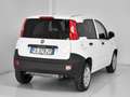 Fiat Panda Panda Van 0.9 t.air t. natural power Easy 80cv Bianco - thumbnail 7