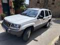 Jeep Grand Cherokee 3.1TD Laredo Bianco - thumbnail 10