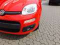 Fiat Panda 1.2 Lounge easypower Gpl 69cv my19 Rosso - thumbnail 15