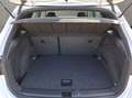 SEAT Arona 1.0 TSI Xperience Allwetterreifen Keyless Schwarz - thumbnail 19