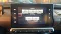 Citroen C4 Cactus 1.6 BlueHDi 100 Shine - thumbnail 42