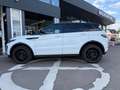 Land Rover Range Rover Evoque SE Dynamic Weiß - thumbnail 5