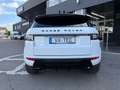 Land Rover Range Rover Evoque SE Dynamic Weiß - thumbnail 7