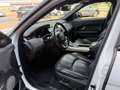 Land Rover Range Rover Evoque SE Dynamic Weiß - thumbnail 11