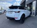 Land Rover Range Rover Evoque SE Dynamic Weiß - thumbnail 9
