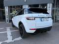 Land Rover Range Rover Evoque SE Dynamic Weiß - thumbnail 6