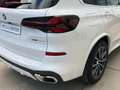 BMW X5 xDrive 30dA xLine Blanco - thumbnail 12