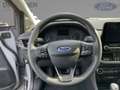 Ford Puma Titanium X 1.0EB ParkAss+SpurH+PDC+RFK Gris - thumbnail 12